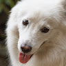 Sonny Nabong
