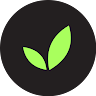 Developios Agency